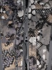 _dsc8618